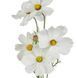 Цветок искусственный Галсанг FLORISTA H:78 см. 1000512748 1000512748 фото 2