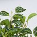Цветок искусственный Пилея кадьера в горшке FLORISTA H:44 см. 1000513310 1000513310 фото 3