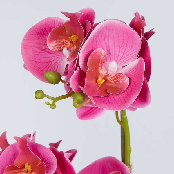 Орхідея штучна у горщику FLORISTA O:11 см. H:51 см. 1000512738 1000512738 фото