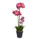 Орхідея штучна у горщику FLORISTA O:11 см. H:51 см. 1000512738 1000512738 фото 1