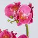 Орхідея штучна у горщику FLORISTA O:11 см. H:51 см. 1000512738 1000512738 фото 2