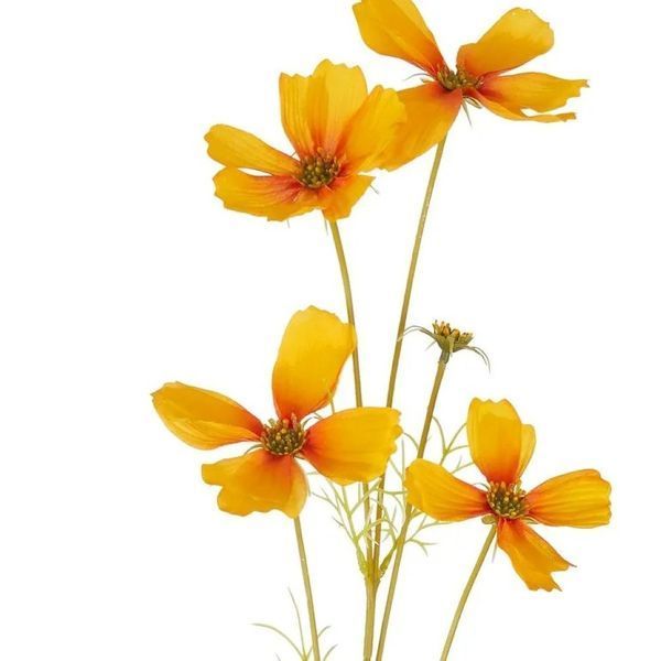 Квітка штучна FLORISTA H:7 см. L:67 см. 10230258 10230258 фото