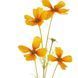 Квітка штучна FLORISTA H:7 см. L:67 см. 10230258 10230258 фото 2