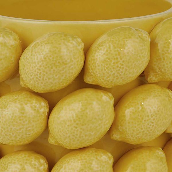 Горшок для цветов 'лимоны' LEMON O:19 см. H:13 см. L:19 см. 1000509906 1000509906 фото