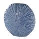 Ваза CORAL COAST O:8 см. H:23 см. L:23 см. 1000514743 1000514743 фото 1