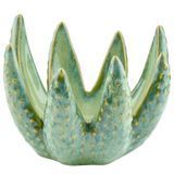 Подсвечник ALOE O:15 см. H:12 см. L:16 см. 1000502676 1000502676 фото