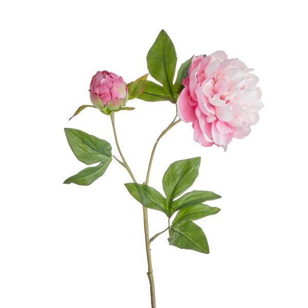 Півонія штучна FLORISTA H:71 см. 10227693 10227693 фото