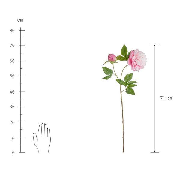 Півонія штучна FLORISTA H:71 см. 10227693 10227693 фото