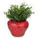 Горщик для квітів STRAWBERRY O:17 см. H:17 см. L:13 см. 1000518320 1000518320 фото 2