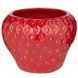 Горщик для квітів STRAWBERRY O:17 см. H:17 см. L:13 см. 1000518320 1000518320 фото 1