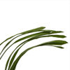 Зображення Трава штучна FLORISTA H:100 см. 10204900