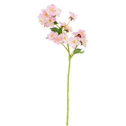 Зображення Гілка FLORISTA 10208618