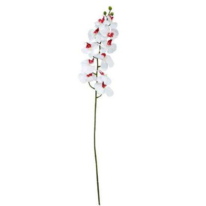 Изображение Орхидея искусственная FLORISTA H:100 см. 10208629