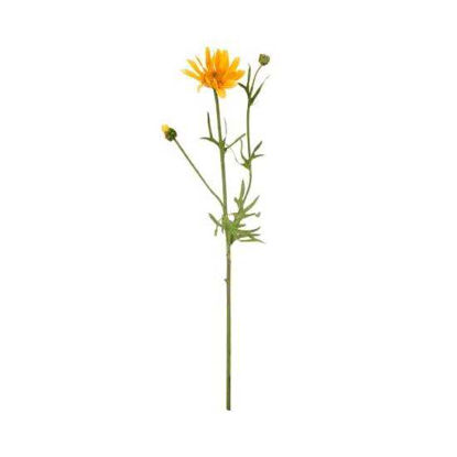Зображення Квітка штучна ромашка FLORISTA H:56 см. 10213907