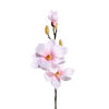 Зображення Квітка штучна магнолія FLORISTA H:68 см. 10213926