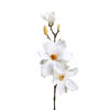 Изображение Цветок искусственный FLORISTA H:68 см. 10213927