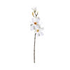 Зображення Квітка штучна FLORISTA H:68 см. 10213927