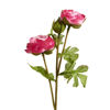 Изображение Цветок искусственный ранункулюс FLORISTA H:30 см. 10213951
