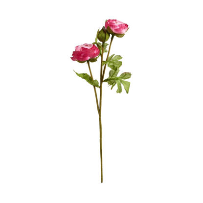 Зображення Квітка штучна ранункулюс FLORISTA H:30 см. 10213951