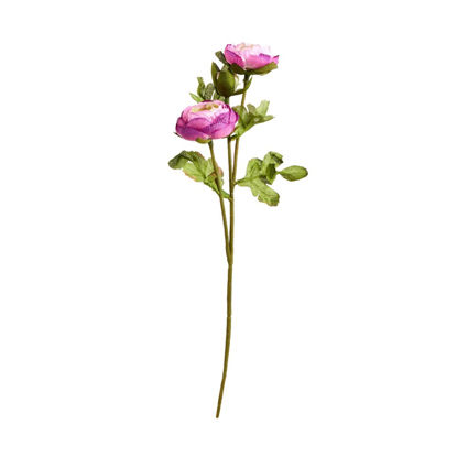 Зображення Квітка штучна ранункулюс FLORISTA H:30 см. 10213952