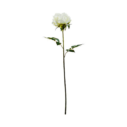 Зображення Квітка штучна FLORISTA H:75 см. 10213970