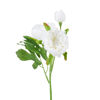 Зображення Квітка штучна FLORISTA H:29 см. 10217877