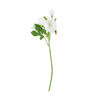 Зображення Квітка штучна FLORISTA H:29 см. 10217877