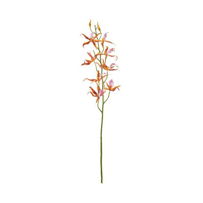 Зображення Квітка штучна FLORISTA L:80 см. 10217899