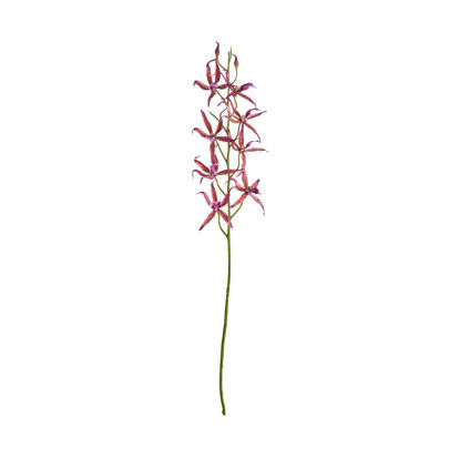Зображення Квітка штучна FLORISTA L:80 см. 10217901