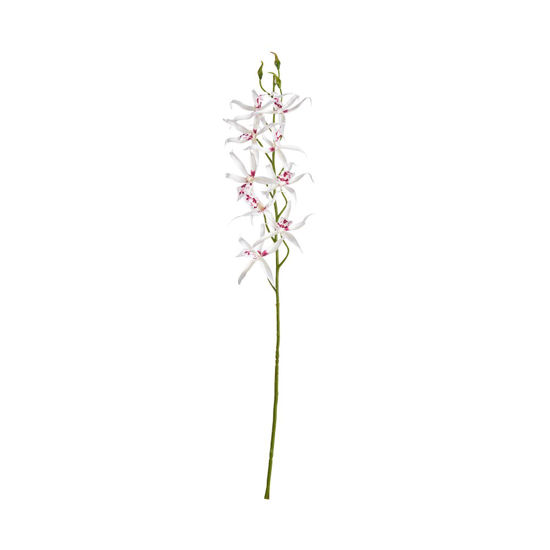 Зображення Квітка штучна FLORISTA L:80 см. 10217903