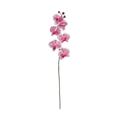 Изображение Ветка орхидеи FLORISTA H:69 см. 10217910