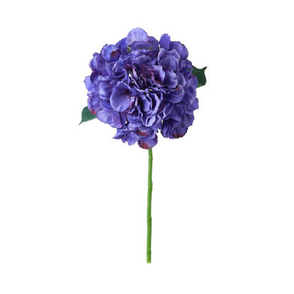 Зображення Квітка штучна FLORISTA O:18 см. H:40 см. 10218091
