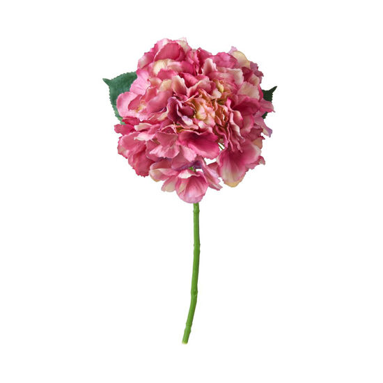 Зображення Квітка штучна FLORISTA O:18 см. H:40 см. 10218092
