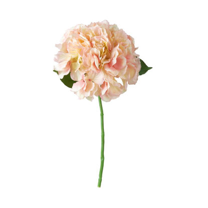 Зображення Квітка штучна FLORISTA O:18 см. H:40 см. 10218093
