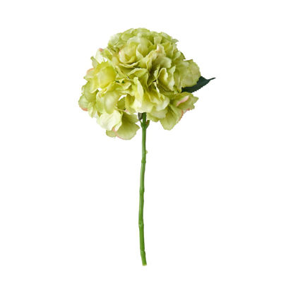 Зображення Квітка штучна FLORISTA O:18 см. H:40 см. 10218094