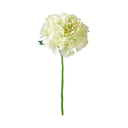 Зображення Квітка штучна FLORISTA O:18 см. H:40 см. 10218096