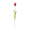 Зображення Квітка штучна FLORISTA O:4 см. H:47 см. 10218098
