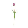 Зображення Квітка штучна тюльпан FLORISTA H:47 см. 10218101