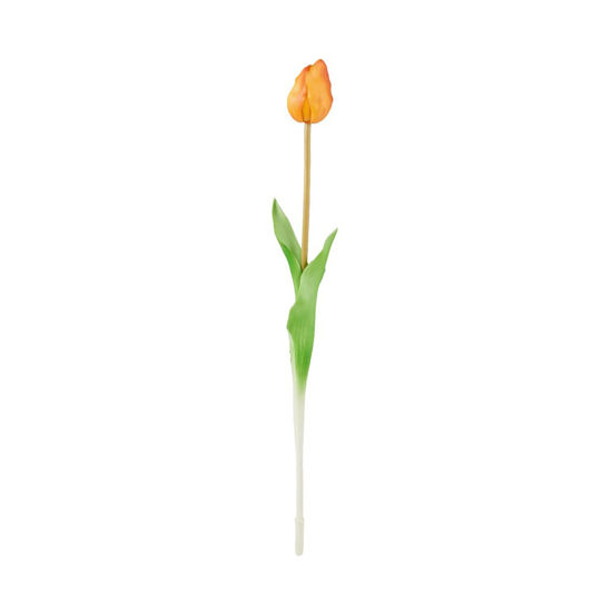 Зображення Квітка штучна тюльпан FLORISTA H:47 см. 10218104