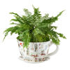 Изображение Горшок для цветов PLANT A CUP O:28 см. H:18 см. 10219366