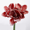 Изображение Цветок искусственный FLORISTA 64x18 см. L:64 см. 10219977