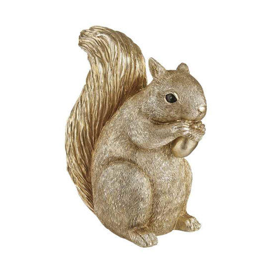 Зображення Скарбничка SQUIRREL 24x14 см. H:28 см. L:24 см. 10220117