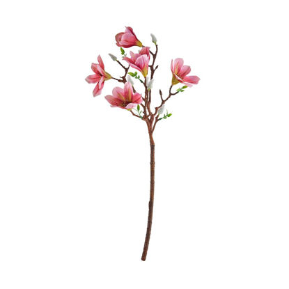 Зображення Квітка штучна FLORISTA 50x20 см. L:50 см. 10221901