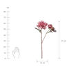 Зображення Квітка штучна FLORISTA L:65 см. 10223058