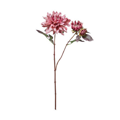 Зображення Квітка штучна FLORISTA L:65 см. 10223058