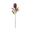 Зображення Квітка штучна FLORISTA L:65 см. 10223091