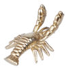 Зображення Прикраса декоративна рак GOLDEN NATURE 6х10х4 см. O:9.5 см. H:3.5 см. L:5.75 см. 10230169