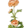 Изображение Ранункулюс искусственная FLORISTA O:12 см. H:8 см. L:63 см. 10230253