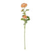 Изображение Ранункулюс искусственная FLORISTA O:12 см. H:8 см. L:63 см. 10230253