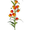 Изображение Сандерсония искусственная FLORISTA O:15 см. H:8 см. L:69 см. 10230264
